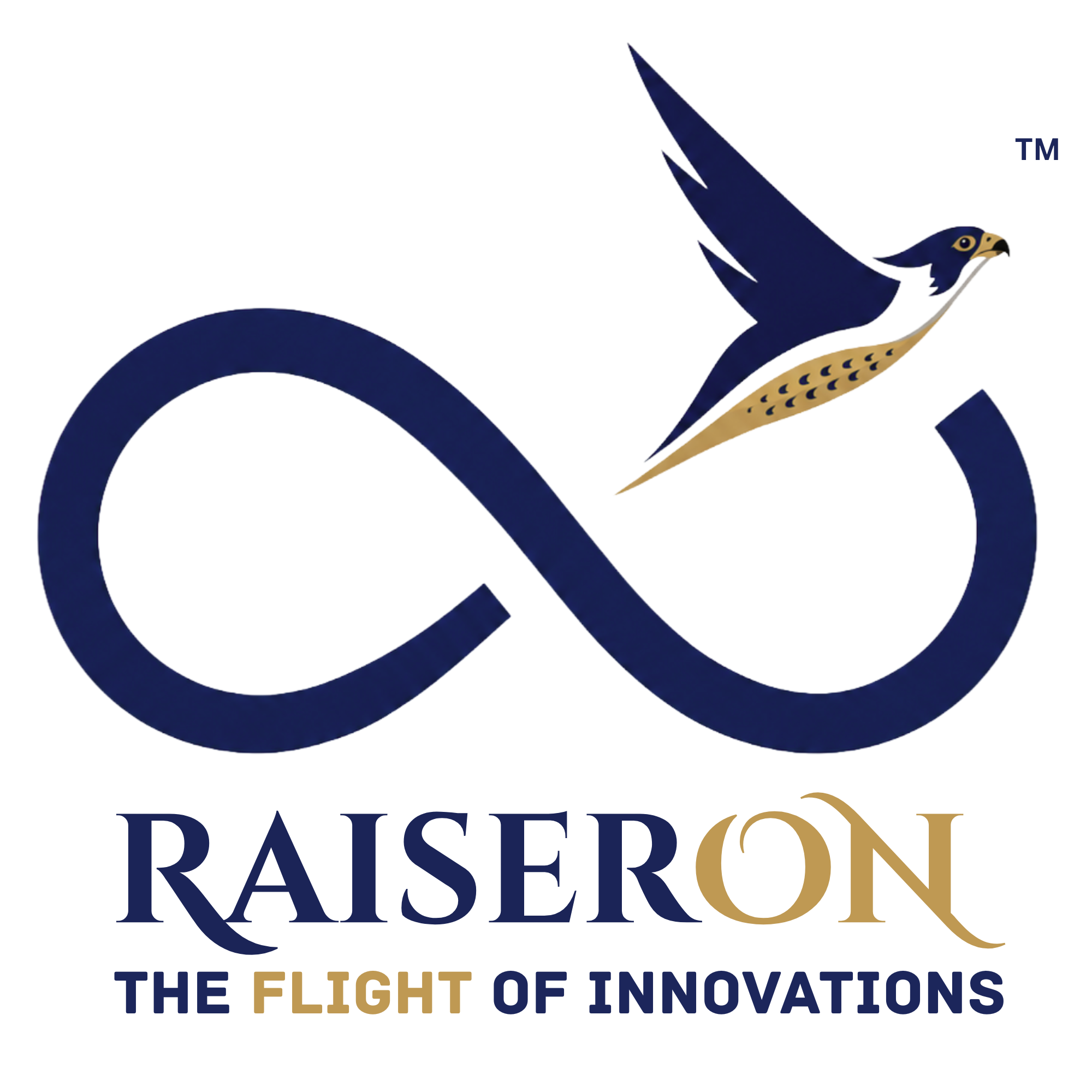 RAISERON Logo